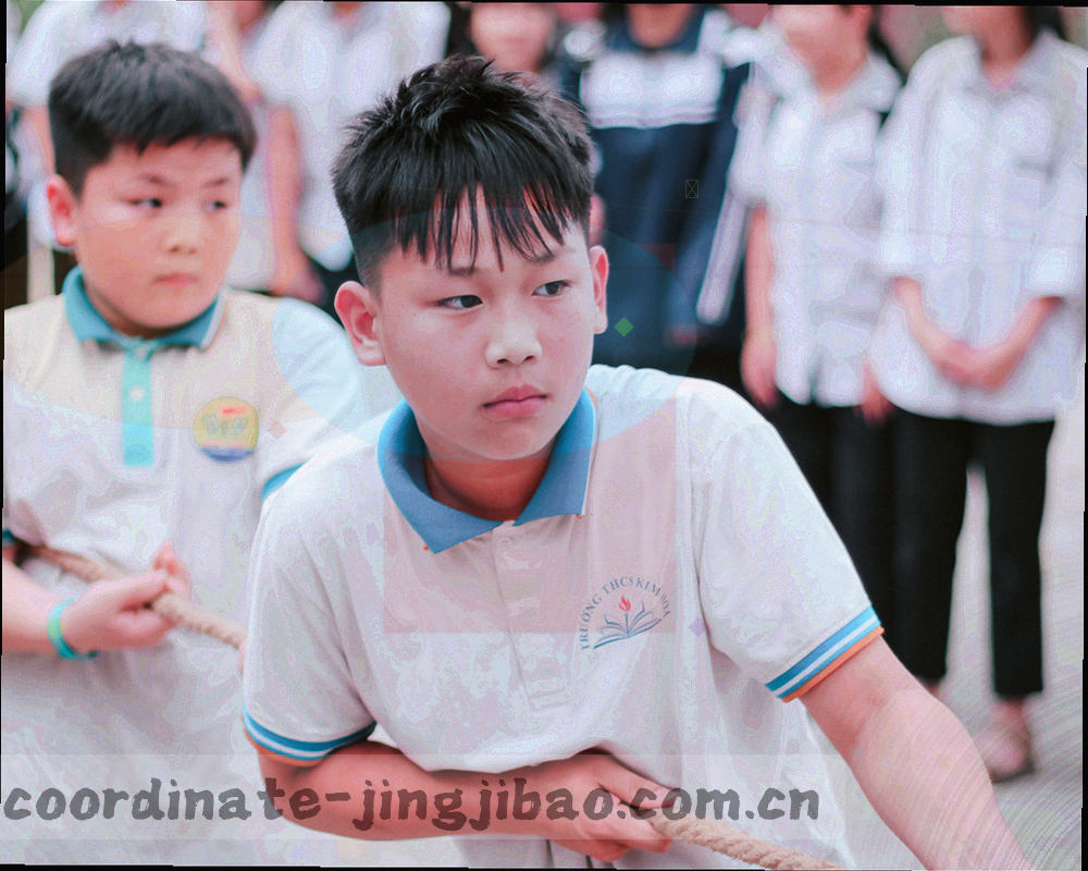 窄屏中的单列坐标卡与状态灯，几何化表现赛事栏目与阵容页入口